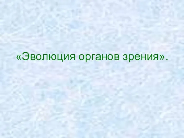 «Эволюция органов зрения».