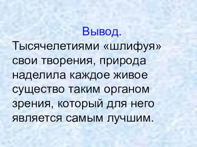 Вывод. Тысячелетиями «шлифуя» свои творения, природа наделила каждое живое существо таким