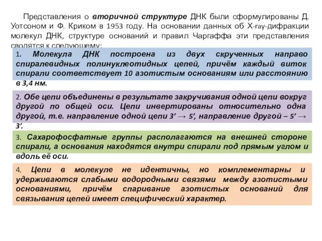 Представления о вторичной структуре ДНК были сформулированы Д. Уотсоном и Ф.