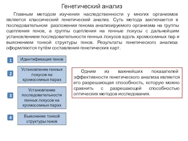 Генетический анализ Главным методом изучения наследственности у многих организмов является классический