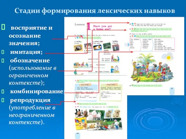 Стадии формирования лексических навыков восприятие и осознание значения; имитация; обозначение (использование