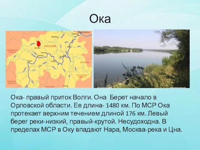 Ока Ока- правый приток Волги. Она Берет начало в Орловской области.