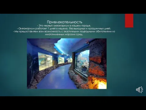 Привлекательность - Это первый океанариум в нашем городе. - Океанариум работает