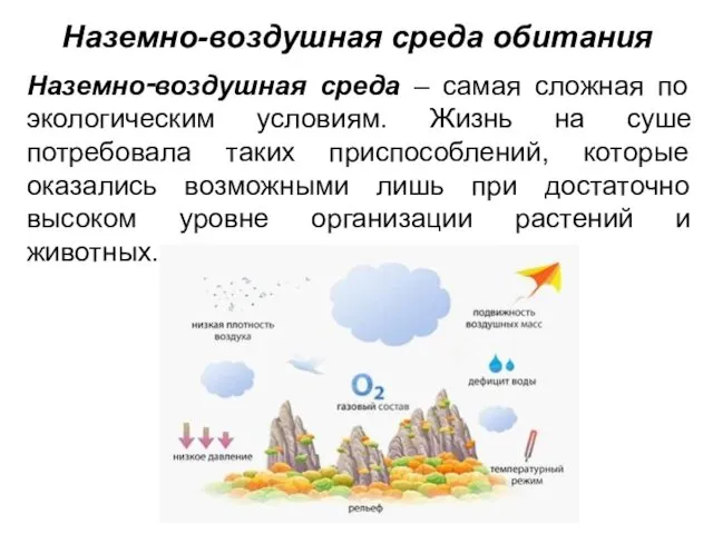 Наземно-воздушная среда обитания Наземно‑воздушная среда – самая сложная по экологическим условиям.