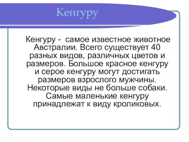 Кенгуру Кенгуру - самое известное животное Австралии. Всего существует 40 разных