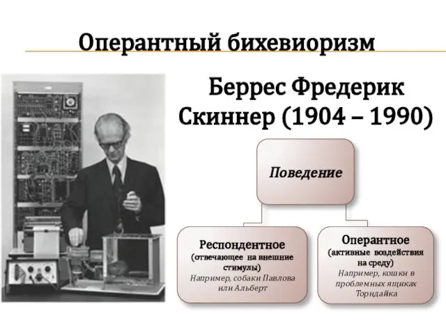 Оперантный бихевиоризм Беррес Фредерик Скиннер (1904 – 1990)