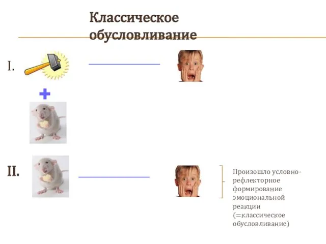 I. II. Классическое обусловливание Произошло условно-рефлекторное формирование эмоциональной реакции (=классическое обусловливание)