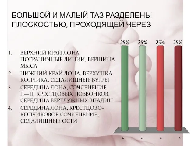 БОЛЬШОЙ И МАЛЫЙ ТАЗ РАЗДЕЛЕНЫ ПЛОСКОСТЬЮ, ПРОХОДЯЩЕЙ ЧЕРЕЗ ВЕРХНИЙ КРАЙ ЛОНА,