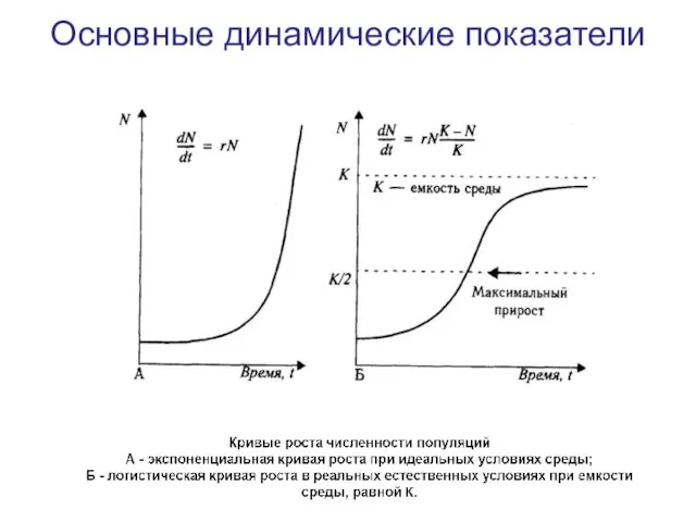 Основные динамические показатели