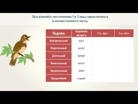 Просклоняйте местоимения 1 и 2 лица единственного и множественного числа.