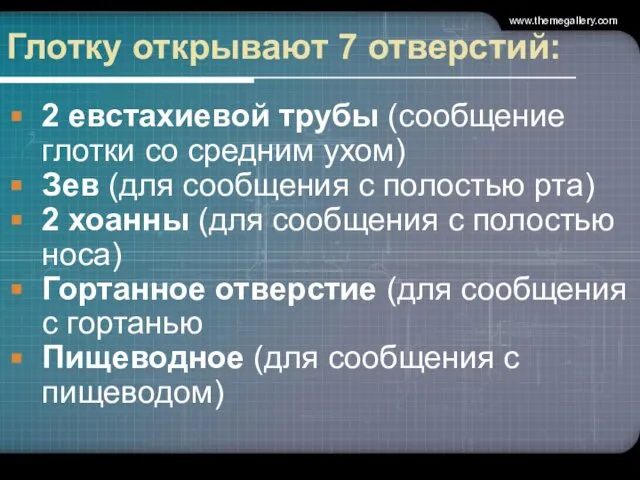 Глотку открывают 7 отверстий: 2 евстахиевой трубы (сообщение глотки со средним