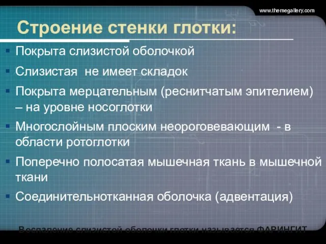 Строение стенки глотки: Покрыта слизистой оболочкой Слизистая не имеет складок Покрыта