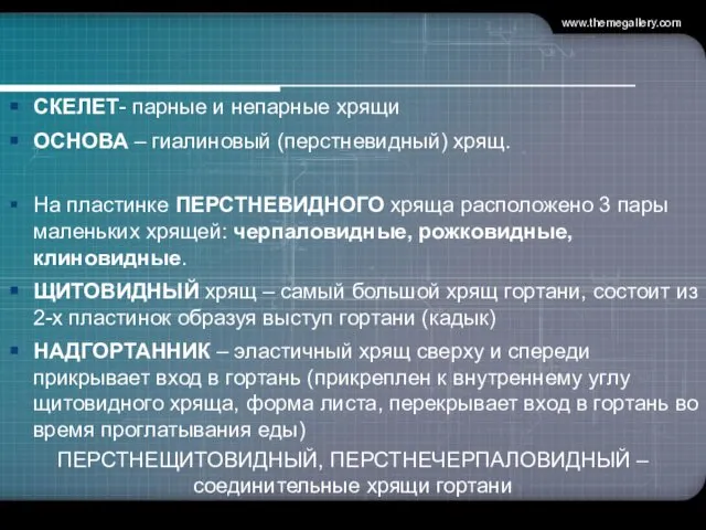 СКЕЛЕТ- парные и непарные хрящи ОСНОВА – гиалиновый (перстневидный) хрящ. На