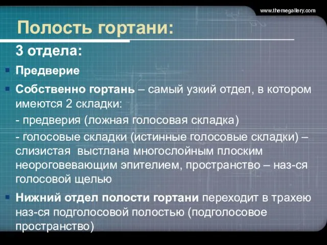 Полость гортани: 3 отдела: Предверие Собственно гортань – самый узкий отдел,