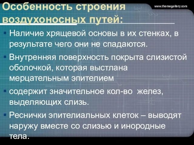 Особенность строения воздухоносных путей: Наличие хрящевой основы в их стенках, в