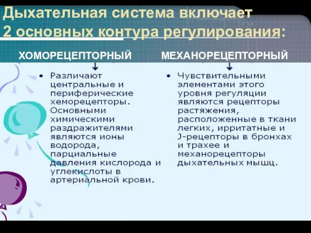 Дыхательная система включает 2 основных контура регулирования: ХОМОРЕЦЕПТОРНЫЙ МЕХАНОРЕЦЕПТОРНЫЙ