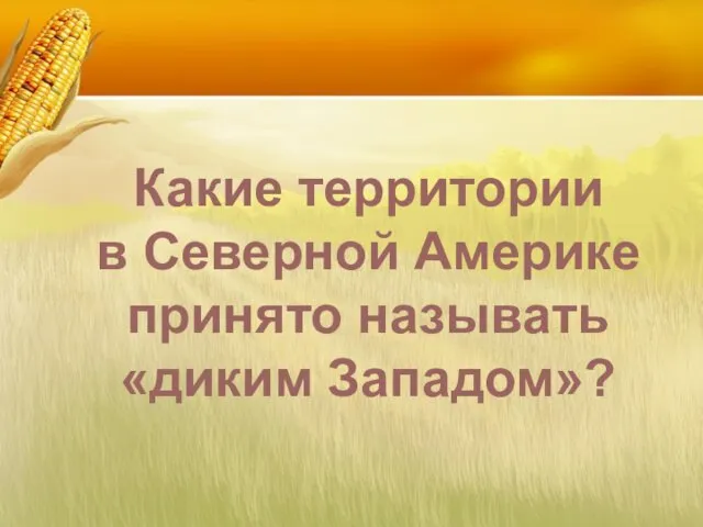 Какие территории в Северной Америке принято называть «диким Западом»?