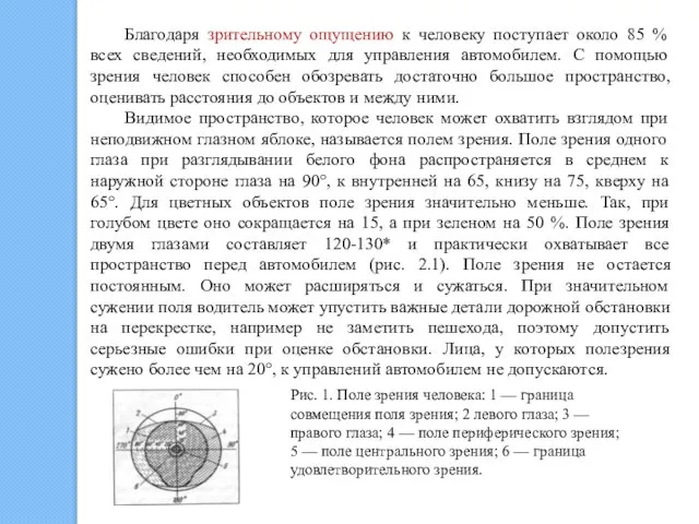 Благодаря зрительному ощущению к человеку поступает около 85 % всех сведений,