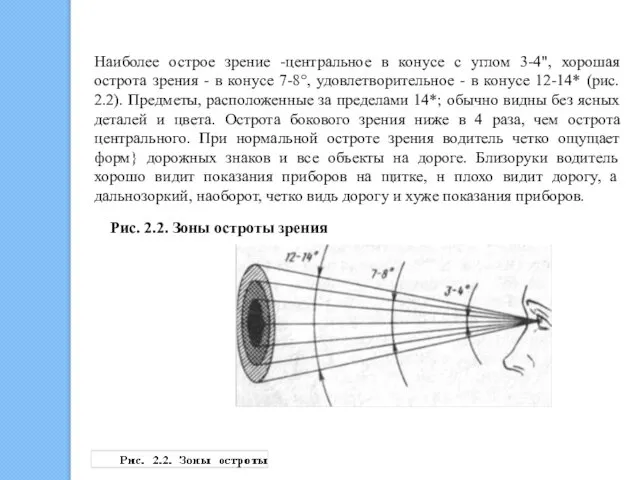 Наиболее острое зрение -центральное в конусе с углом 3-4", хорошая острота