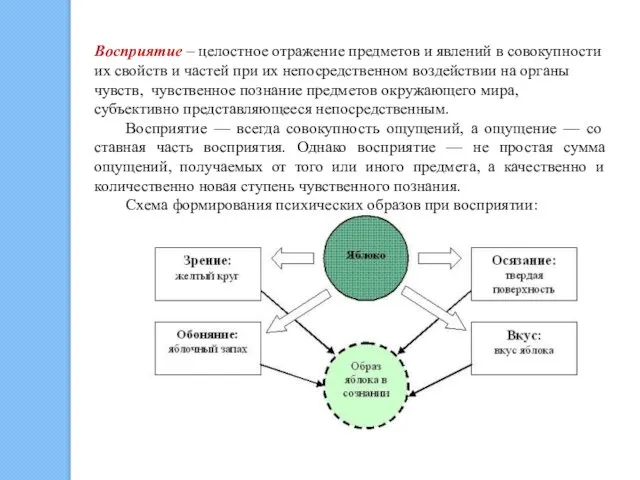 Восприятие – целостное отражение предметов и явлений в совокупности их свойств