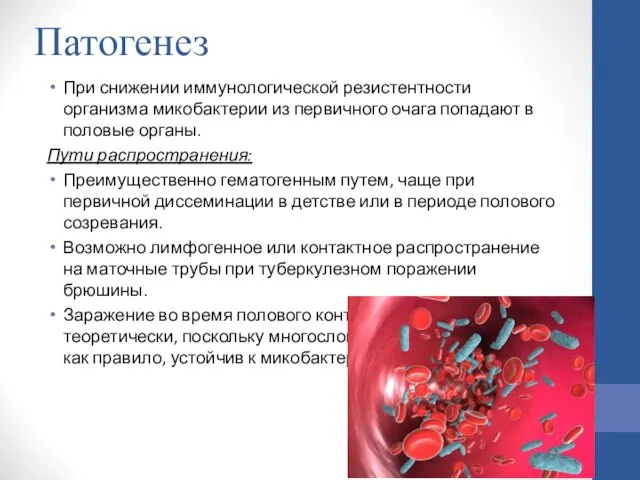 Патогенез При снижении иммунологической резистентности организма микобактерии из первичного очага попадают