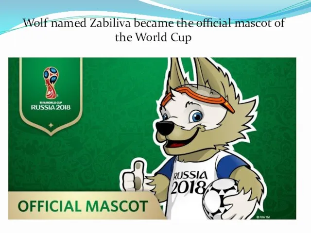 Wolf named Zabiliva became the official mascot of the World Cup