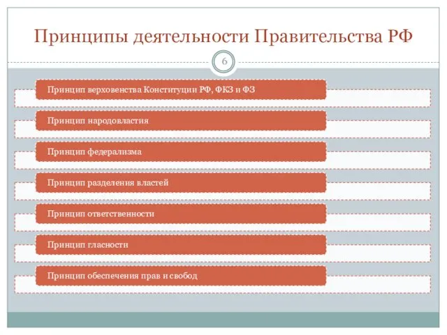 Принципы деятельности Правительства РФ