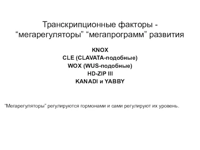 Транскрипционные факторы - “мегарегуляторы” “мегапрограмм” развития KNOX CLE (CLAVATA-подобные) WOX (WUS-подобные)