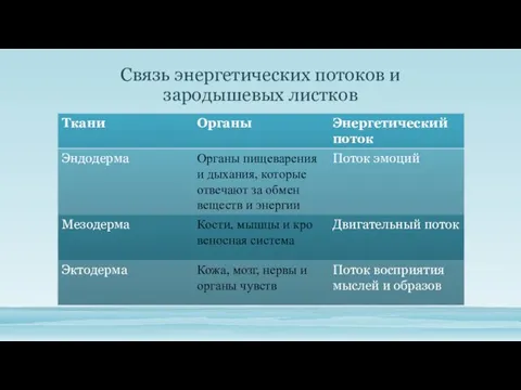 Связь энергетических потоков и зародышевых листков