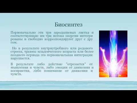 Биосинтез Первоначально эти три зародышевых листка и соответствующие им три потока