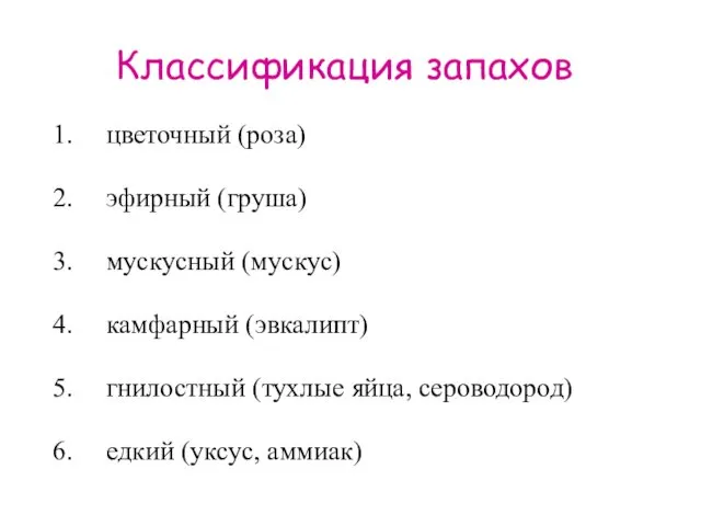 Классификация запахов цветочный (роза) эфирный (груша) мускусный (мускус) камфарный (эвкалипт) гнилостный