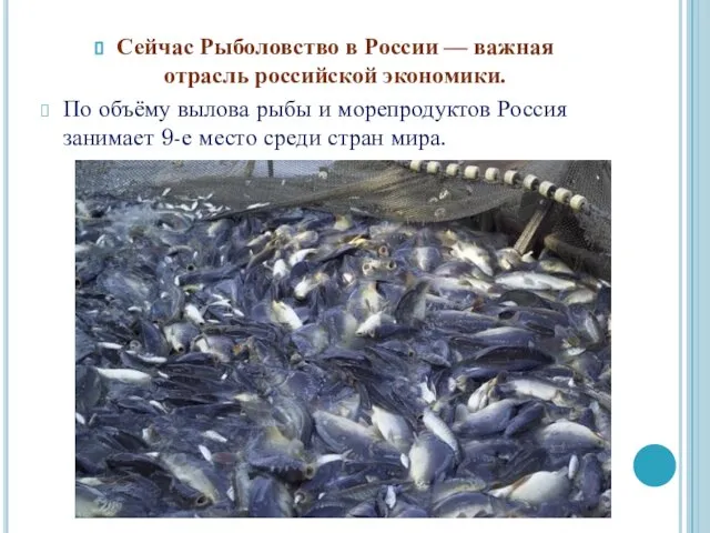 Сейчас Рыболовство в России — важная отрасль российской экономики. По объёму