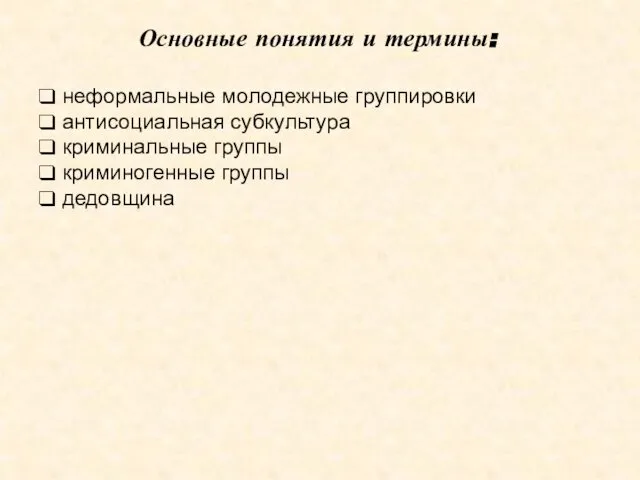 Основные понятия и термины: неформальные молодежные группировки антисоциальная субкультура криминальные группы криминогенные группы дедовщина