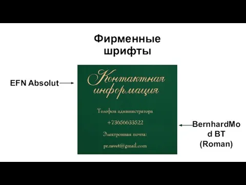 Фирменные шрифты EFN Absolut BernhardMod BT (Roman)