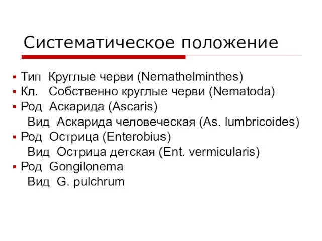 Систематическое положение Тип Круглые черви (Nemathelminthes) Кл. Собственно круглые черви (Nematoda)