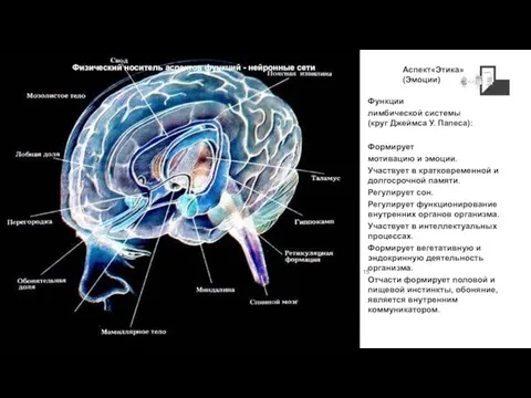 Функции лимбической системы (круг Джеймса У. Папеса): Формирует мотивацию и эмоции.