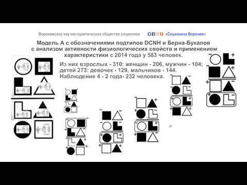 Модель А с обозначениями подтипов DCNH и Берна-Букалов с анализом активности