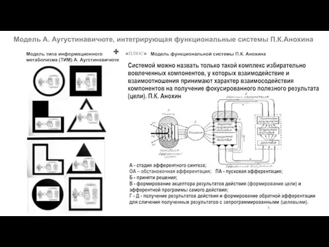 Системой можно назвать только такой комплекс избирательно вовлеченных компонентов, у которых