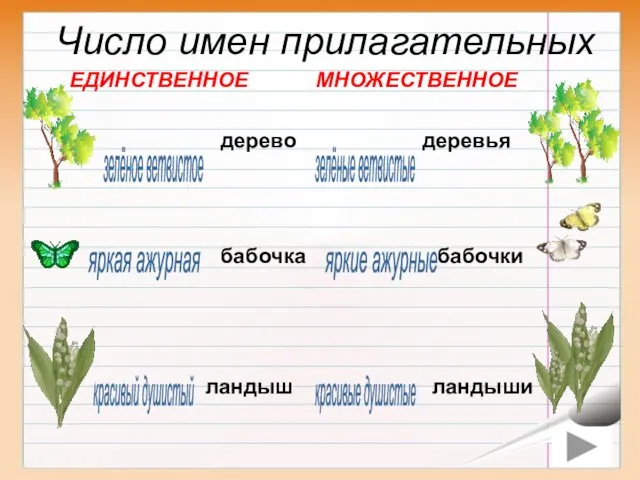 бабочка бабочки яркая ажурная яркие ажурные дерево деревья красивый душистый зелёные