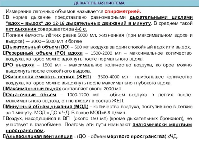 ДЫХАТЕЛЬНАЯ СИСТЕМА Измерение легочных объемов называется спирометрией. В норме дыхание представлено