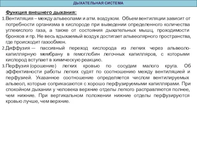 ДЫХАТЕЛЬНАЯ СИСТЕМА Функция внешнего дыхания: Вентиляция – между альвеолами и атм.
