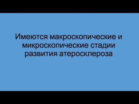 Имеются макроскопические и микроскопические стадии развития атеросклероза