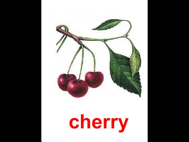 cherry