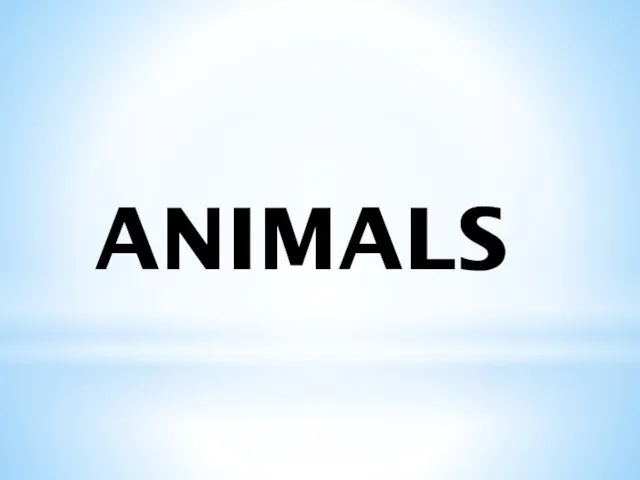 ANIMALS