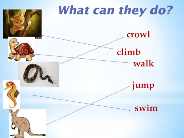 What can they do? сlimb jump walk crowl swim