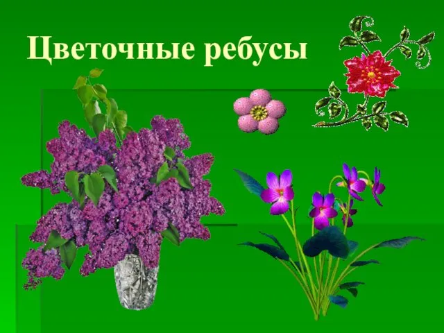 Цветочные ребусы