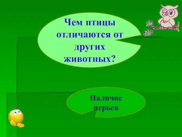 Чем птицы отличаются от других животных? Наличие перьев