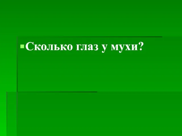 Сколько глаз у мухи?