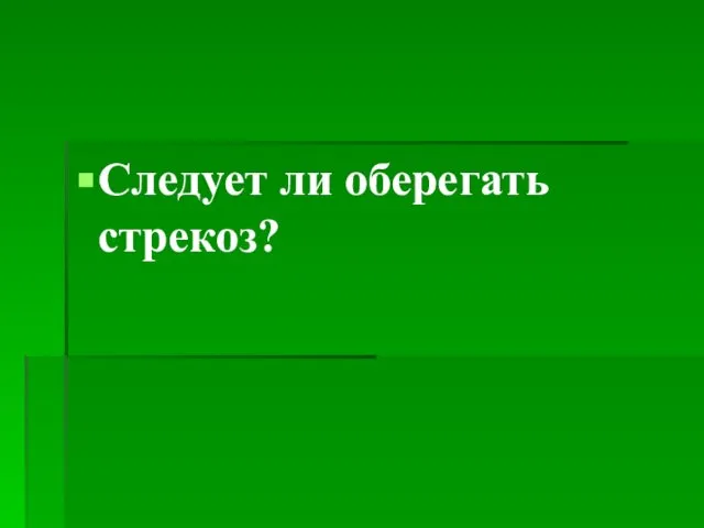 Следует ли оберегать стрекоз?