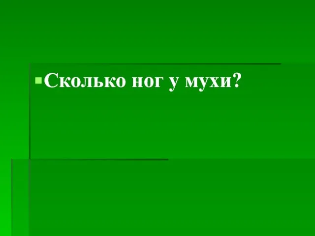 Сколько ног у мухи?